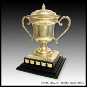 B8000 trophy large brass