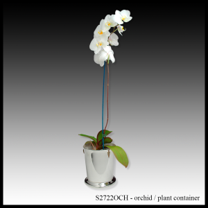 S2722OCH silver orchid container