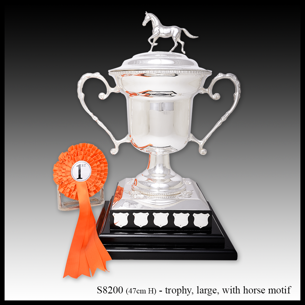 silver western HORSE trophy award black and silver square riser 