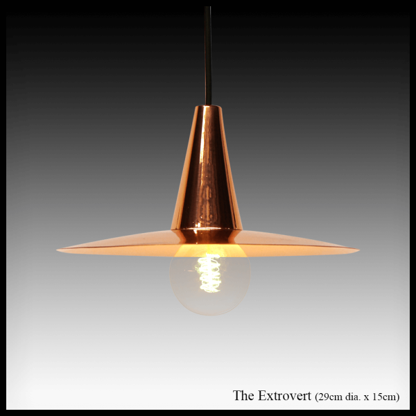 The Extrovert pendant copper light shade