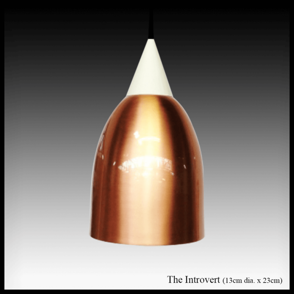 The Introvert pendant copper light shade