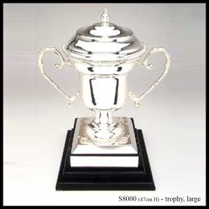 S8000 silver trophy large